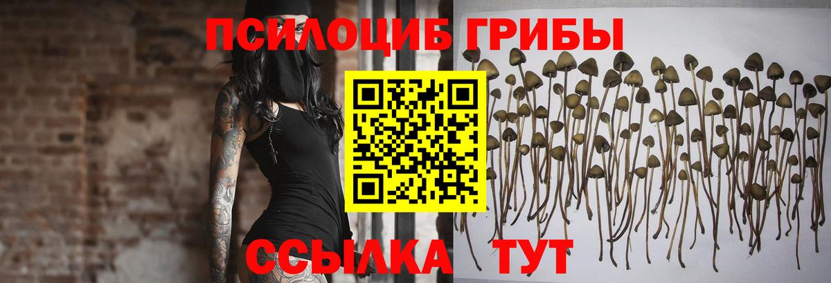 Псилоцибиновые грибы мухоморы Лысьва